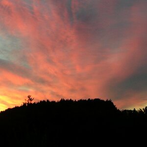 Steiermark