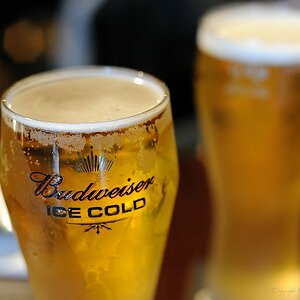 X 0180 Irland 2011 Budweiser ice cold
