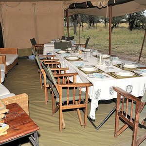 Restaurantzelt (Exclusive Mobile Camp)
0332