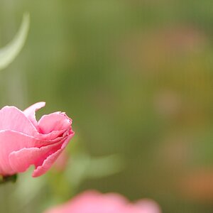 DSC 0074a
