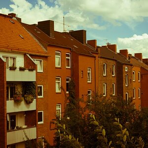DSC 0503