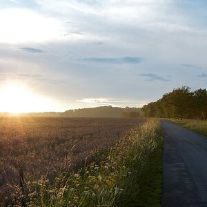 Sonnenuntergang Mandelbachtal