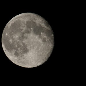 nikon Forum Mond