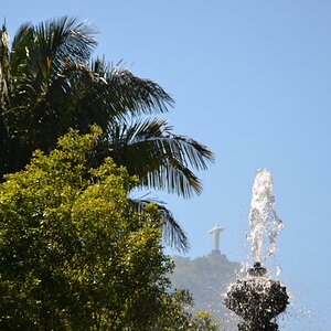 Rio de Janeiro, Botanischer Garten