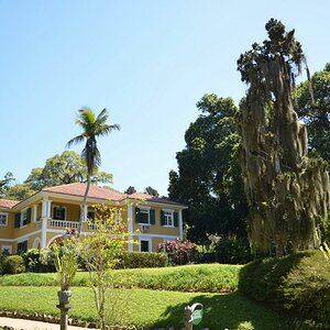 Rio de Janeiro, Jardim Botanico