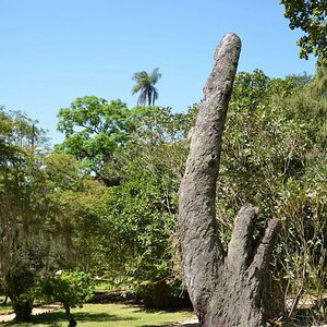 Rio de Janeiro, Jardim Botanico