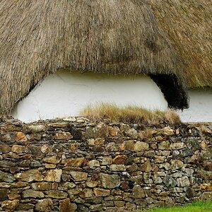 X 0017 Irland 2011 reed cottach