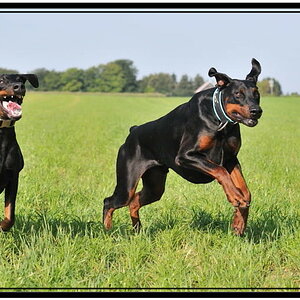 Das ware Gesicht :)