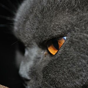 DSC 0010