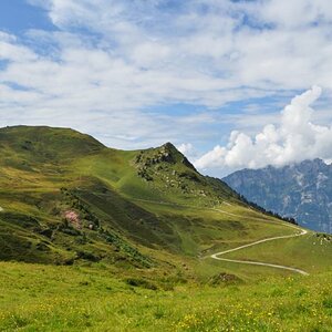 Ich muss auch an diesem Bild leider die Qualität nach dem Hochladen kritisieren. Auf meinem Comquter sieht es anders aus, aber ich hab es eigentlich f