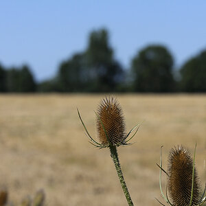 NFF_Test_Upload