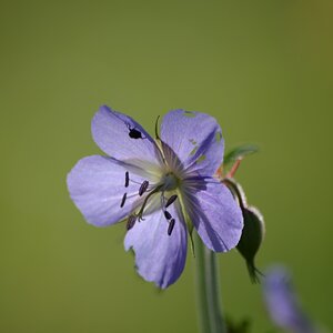 DSC 1269