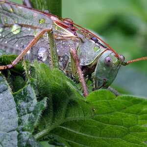 H8334n