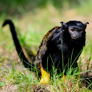 20110402 06 Zoo Rostock