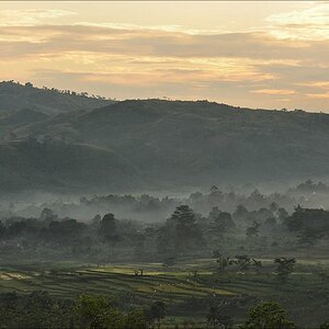 acomp indonesia 20110604 00058