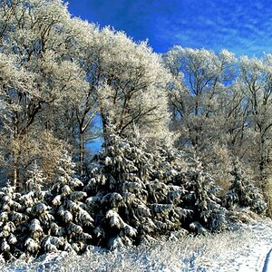 winter 010