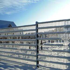 winter 035