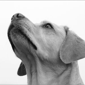 sina guckt in den himmel