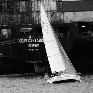 D200
VR70-300
300mm
1:6,3
1/160s
ISO 200