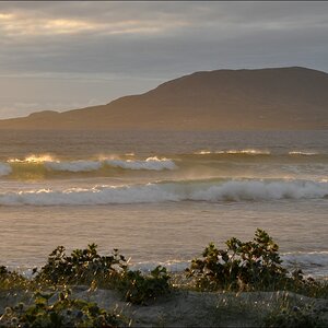 comp Irland2 459b