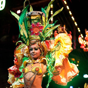 2011 Tropicana 5