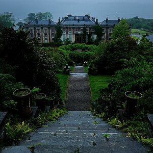 X 0072 Irland 2011 Bantry house and garden
