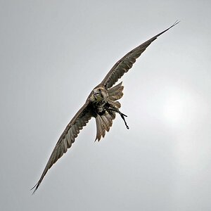 Img2011 08 06 15 36 30