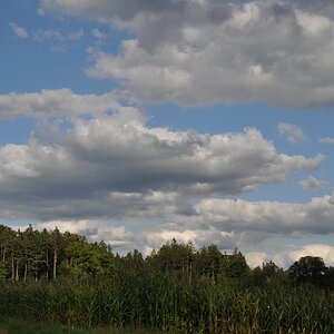 DSC 4991 mic40 k

Kamera-Modell: NIKON D90
Brennweite: 40.0mm (KB-Format entsprechend: 60mm)
Blende: f/8.0
Belichtungszeit: 0.0010s (1/1000)
ISO: 200
