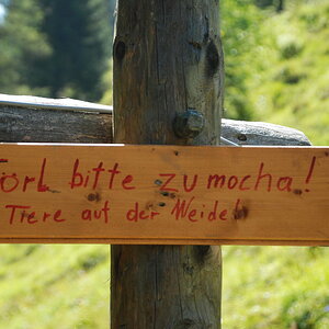 DSC 7881 Bildgröße ändern
