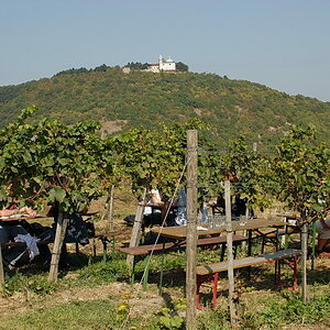 Weinwandertag 10