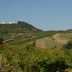 Weinwandertag 19