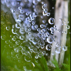 kleine Wunder der Natur