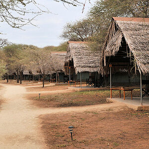 Die Zelte in der Tarangire Safari Lodge
sind durch fest Dächer geschützt
8744