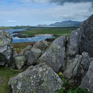 X 0114 Irland 2011 outlook