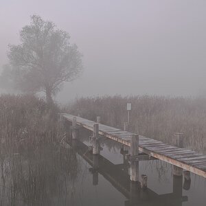 DSC 1139