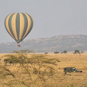 Ballonsafari in der Serengeti
2223