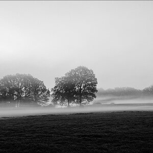 Spätsommermorgen - 29.09.2011 -