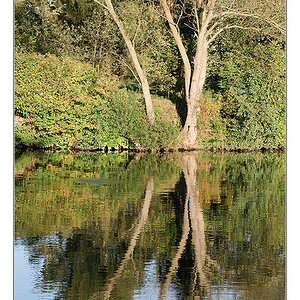 Herbstspiegelung