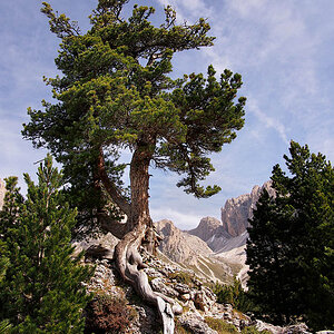 P9251902