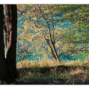 Blick auf die Lichtung