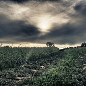 Sunset 1