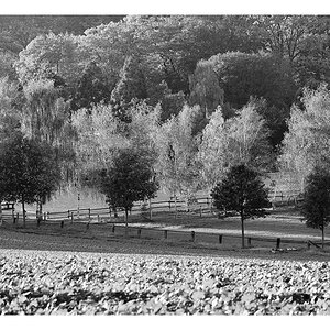 Herbst sw