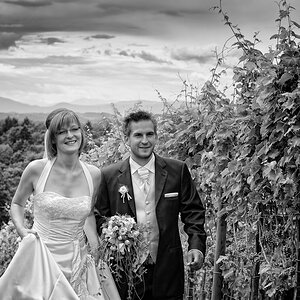 Hochzeit im Weingarten