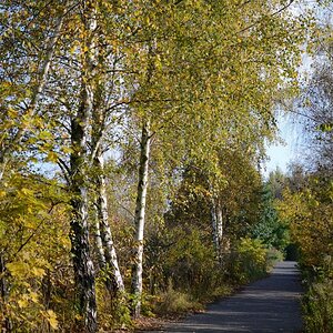 Am Mauerweg
