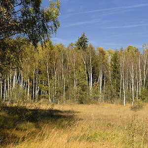 2011100413321841