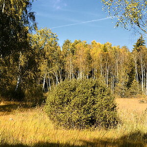 2011100413305365
