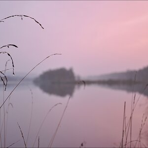 comp Hasenmoor 013b
