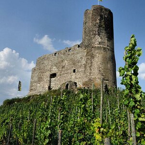 Burg Landshut