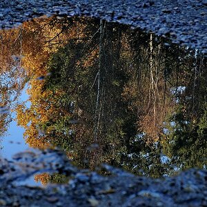 herbstliche Latschn
