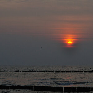 Morgengrauen 1